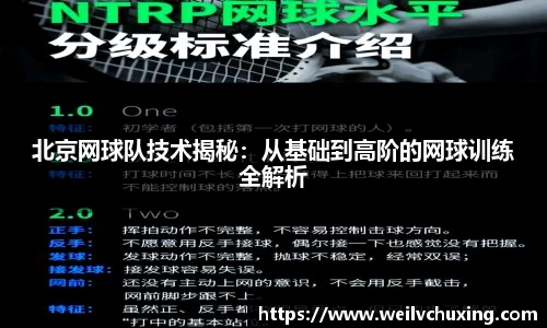 北京网球队技术揭秘：从基础到高阶的网球训练全解析